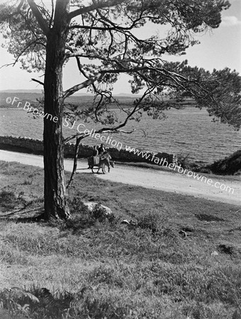 DONKEY WITH PANNIERS L.CULLEN